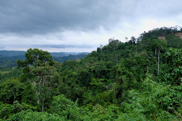 Sumatra Roadmovie